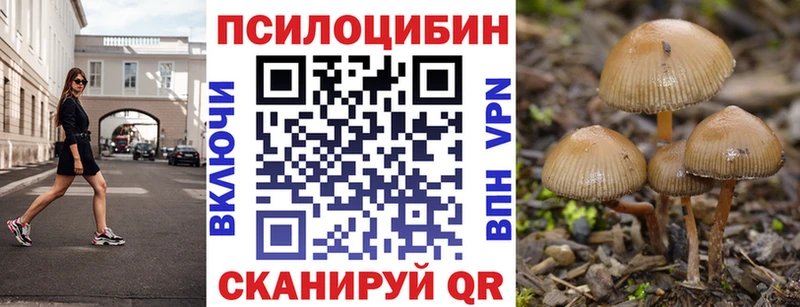 даркнет сайт  Самара  Псилоцибиновые грибы Psilocybe 